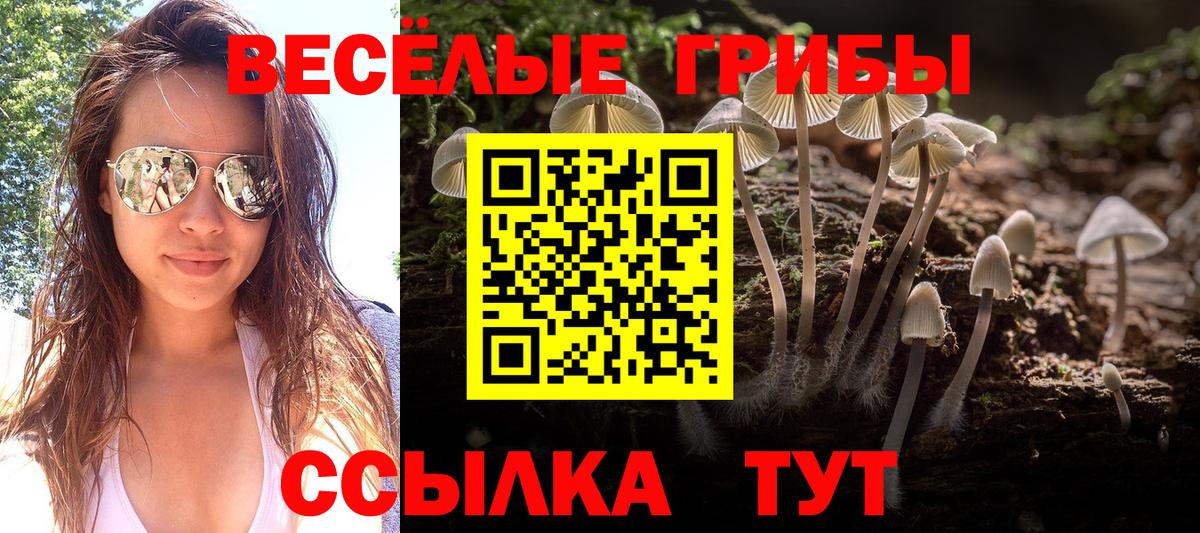 Меф МЯУ МЯУ  Вход с VPN  Марихуана  Мефедрон кристаллы  Александров  ГАШ  COCAIN  Alpha PVP СОЛЬ кристаллы 