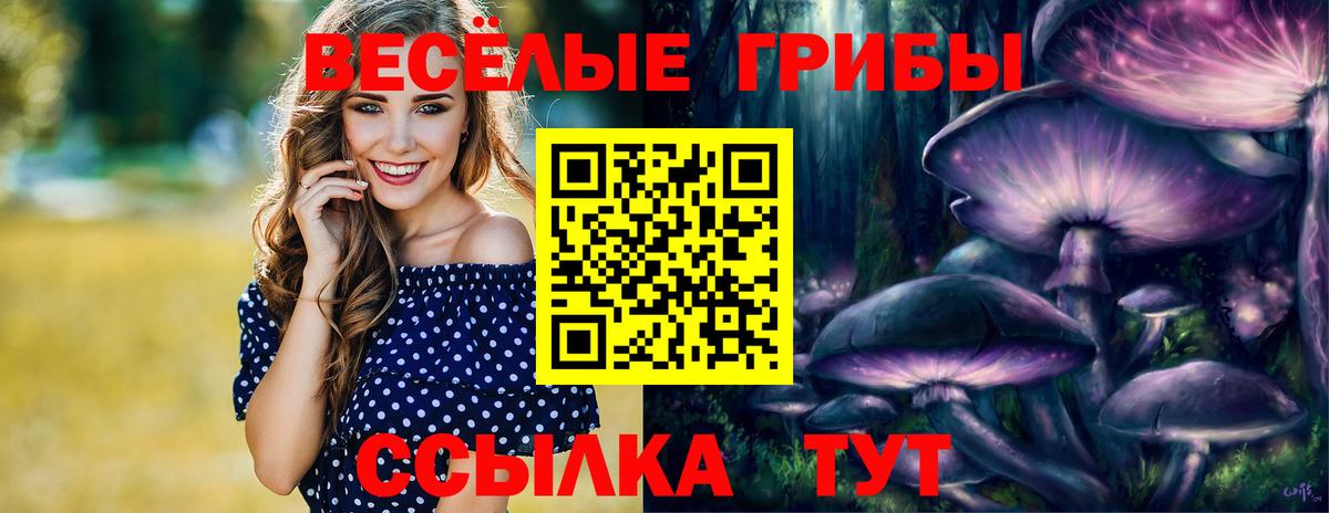 Псилоцибиновые грибы ЛСД  Вход с VPN  Псилоцибиновые грибы Cubensis  Александров 